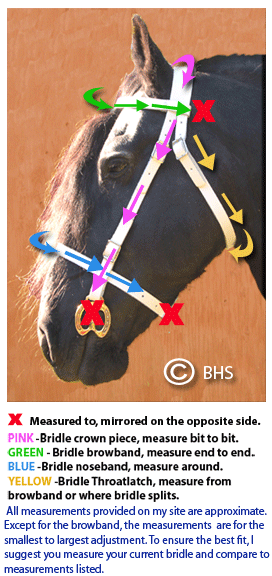 Official Libby's Standard Browband Miniature Small Pony Pony Cob Full Extra Full 