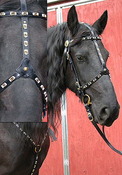 Details about   Stainless Steel Victorian Buckle suit 19mm Straps Leather Bridle Horse Bridle 