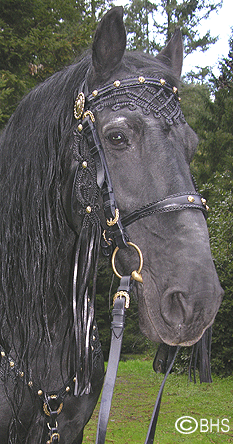 Antique Crow Plains Beaded Hide Horse Bridle Forehead Ornament